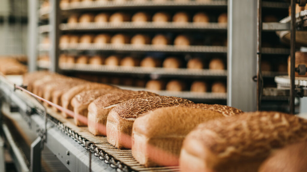 Bread on Conveyor Belt